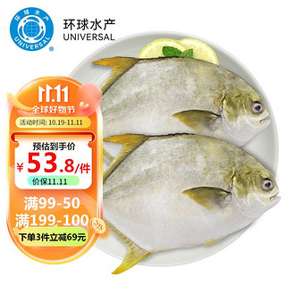 冷冻金鲳鱼 1kg/2条装 生鲜 鱼类 深海鱼 海鲜水产