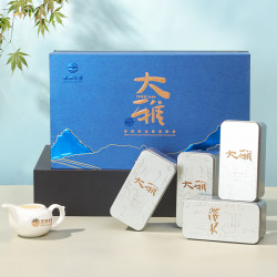 GANDELONGXIN 感德龙馨 安溪铁观音兰花香特级清香型乌龙茶大雅3A256g正宗新茶叶礼盒装