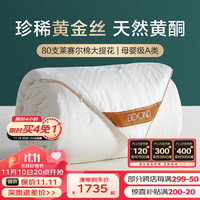 BEYOND 博洋 蚕丝被子加厚保暖黄金丝子母被二合一春秋被芯桑蚕丝冬被四季通用 春秋被 220*240cm