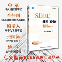 SDBE战略与洞察：路径选择和节奏把握的艺术