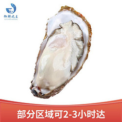 御鲜之王 生蚝鲜活2.5kg/10-15只  165-250g/只 海鲜水产海蛎子牡蛎