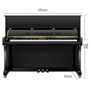 京东百亿补贴：Xinghai 星海 AC100-黑色 立式钢琴