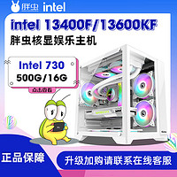 胖虫 Intel 13代13400/13600KF DDR5 无显卡 海景房全套台式主机