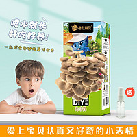 考拉精灵 蘑菇diy种植原生态蘑菇种植盒可食用儿童节礼物 秀珍菇2盒装(送喷雾瓶)