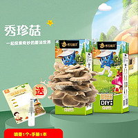 考拉精灵 平菇蘑菇种植包菌包2盒装可食用儿童diy菌菇棒菌菇种植包 秀珍菇(2盒装)一个喷瓶一本手册