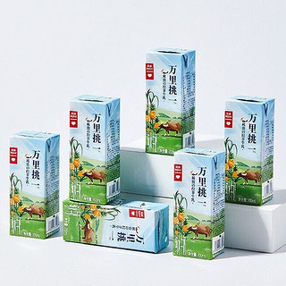 lepur 乐纯 万里挑一儿童A2酪蛋白水牛奶营养早餐 水牛奶10盒*2箱