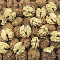 西叶 云南丑核桃 老核桃 原色核桃多规格 丑核桃 中果500克(无开口器)