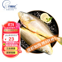 DIAOYUJI 钓鱼记 三去黄花鱼 700g/2条装 *3送黑虎虾仁300g