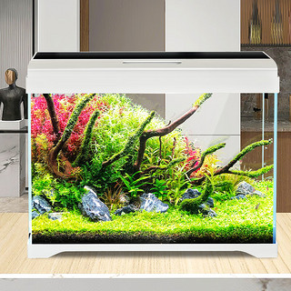 SUNSUN 森森 超白玻璃一体小鱼缸AT-500B款（长50cm）桌面观赏性水族箱
