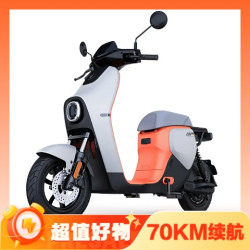 Ninebot 九号 BMAX90 电动自行车 TDT053Z