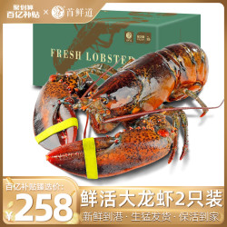 首鲜道 波士顿龙虾鲜活特大龙虾波龙奥龙加拿大澳洲小虾