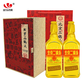 YONGFENG 永丰牌 北京二锅头 金标 出口小方瓶 46%vol 清香型白酒 500ml*2瓶 礼盒装