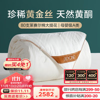 博洋(BEYOND)蚕丝被子加厚保暖黄金丝子母被二合一春秋被芯桑蚕丝冬被四季通用 冬被【100%桑丝+A类抑菌】 200*230cm