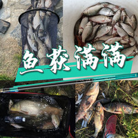 汉鼎全能战全新鱼竿手竿鲢鳙台钓竿超轻超硬碳素综合【74】 74