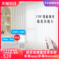 yakong 雅控 电动梦幻帘垂直帘百叶小米米家app智能语音调光homekit电动窗帘