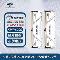 TOPMORE 达墨 48G(24g*2) DDR5 6000内存条