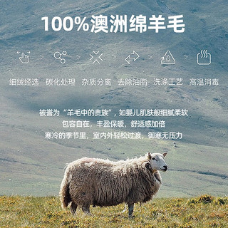 杉杉【100%绵羊毛】羊毛衫男秋冬休闲保暖打底上衣圆领亲肤毛衣男 铁灰 170/88A