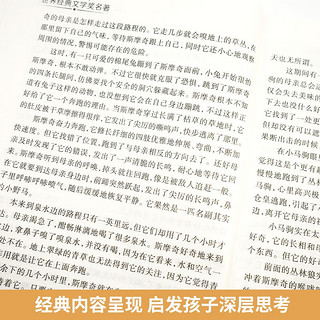 牧牛小马斯摩奇 纽伯瑞国际大小说世界经典儿童文学名 小三四五六年级课外阅读书籍