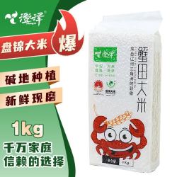 澄泽 盘锦蟹田大米 东北大米 大米真空米砖1kg2斤
