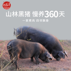 白荡里 黑猪肉农家散养土猪排骨3斤冷冻新鲜土猪肉原切带脊骨生鲜