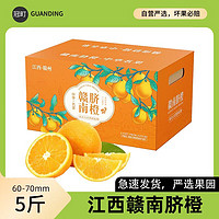 冠町 赣南脐橙子 5斤(60-70mm) 新鲜水果生鲜礼盒