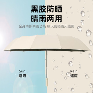 天玮伞业 24骨全自动黑胶抗风折叠晴雨伞 米色