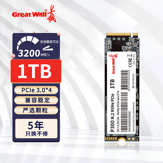 Great Wall 长城 1TB SSD固态硬盘 M.2接口(NVMe协议 PCle 3.0) P300系列 最高可达3200MB/s（晒单返5元）