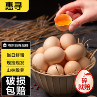 惠寻 京东自有品牌 散养土鸡蛋 营养初生蛋40g/枚 10枚装