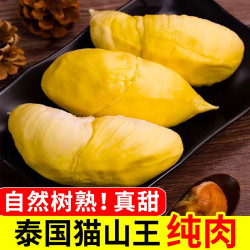 尹福记 泰国 猫山王榴莲肉 A+品质 500g 顺丰