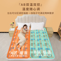 大羽 电热毯恒温电褥子加大单双人双控智能调温家用宿舍办公室
