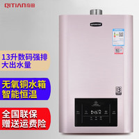 Qitian 奇田 13升强排式燃气热水器家用 智能恒温 强排热水器燃气 N18TJ 香槟金 天然气12T