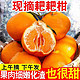 百果捞铺子 四川春见耙耙柑橘子新鲜应季水果 小果8斤（单果60mm+）