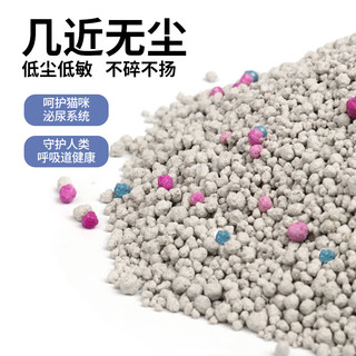 Treasure Fish Castle 珍鱼堡 Treasure Fish Castle 珍鱼堡