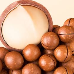 Three Squirrels 三只松鼠 MAX版 夏威夷果 500g