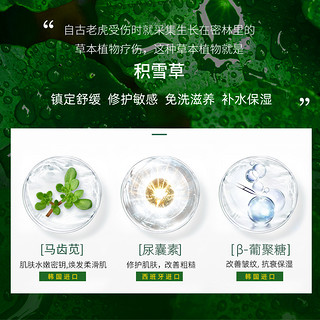 艾肤泉积雪草修护冻膜舒缓敏感补水保湿熬夜免洗睡眠晚安涂抹面膜