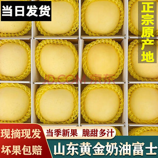 OIMG 山东烟台黄金富士 精选奶油苹果5斤 值友升级6-9个