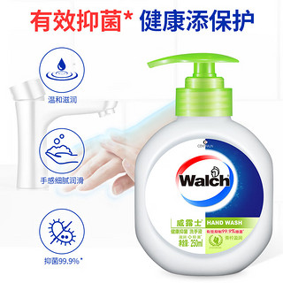 Walch 威露士 抑菌洗手液250ml+250ml 青柠盈润