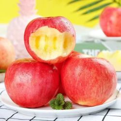 雪束 新疆阿克苏冰糖心苹果新鲜水果当季特产 特大果5斤(单果85-90mm)