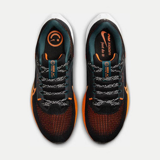 耐克（NIKE）男子公路跑步鞋 PEGASUS 40 FQ8723-010 45.5