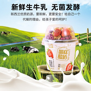 舌尖上的牧场 搅拌酸奶6盒6种口味混合酸奶6盒装
