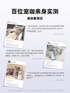 神经猫 猫咪专用沐浴露猫用沐浴液洗澡抑菌除螨幼猫沐浴乳宠物用品