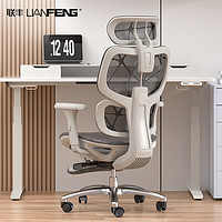 LIANFENG 联丰 DS-228CG人体工学椅电脑椅久坐舒服家用办公椅休闲电竞椅老板椅子