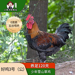 三德子好甄选 高散养山农家土跑走山地鸡整只生鲜鸡 好鸡3号1.25-1.45kg