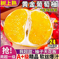 鲜应黄金葡萄柚子爆汁纯甜黄心西柚新鲜水果 整箱5斤大果【单果约300-500g】