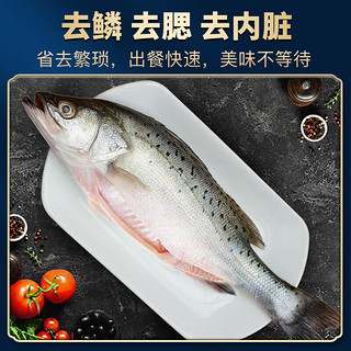 三去白蕉海鲈鱼 净重250g*4份  共8条