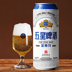 北京双合盛五星全麦啤酒整箱原浆非白啤500ml*12罐