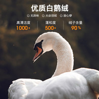 与狼共舞 立领羽绒服男2023冬季新款便携户外保暖男士外套