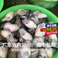 生蚝肉鲜活现剥新鲜去壳海鲜水产汫洲珍珠蚝小海蛎子牡蛎肉500g