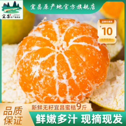 誉福园 宜昌蜜桔新鲜 5斤