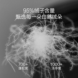 southbedding 南方寝饰 2023新款双蛋白95鹅绒蚕丝子母被蚕丝羽绒被